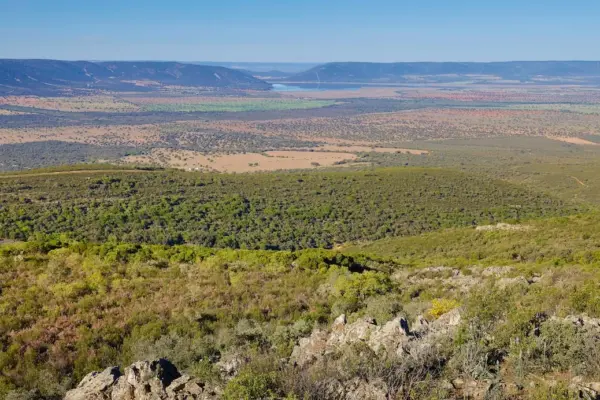 By jet right to the gate of the hunting reserve: the "full-throttle luxury" drives the sixth private airport just in Ciudad Real