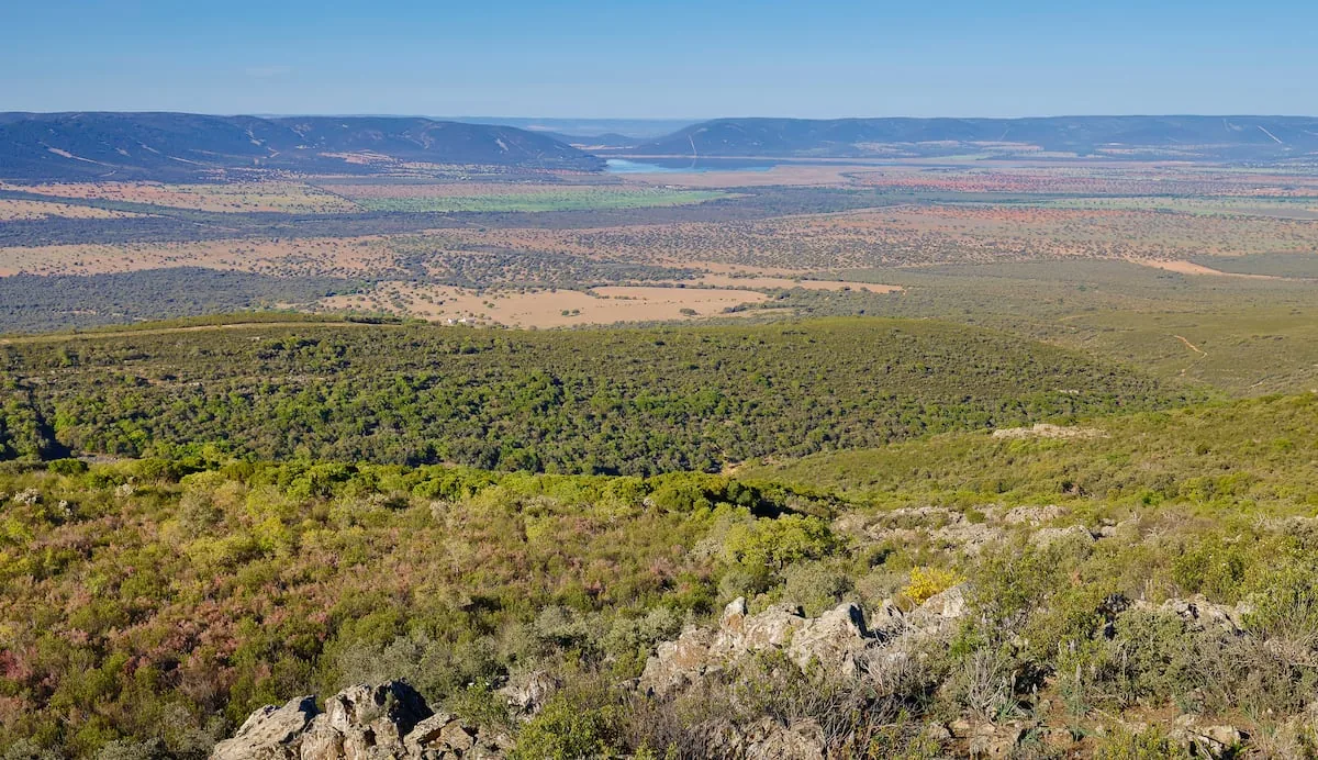 By jet right to the gate of the hunting reserve: the "full-throttle luxury" drives the sixth private airport just in Ciudad Real