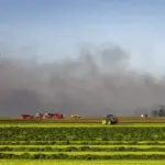 Netherlands requests help to stop a wave of wildfires, four of them in military fields