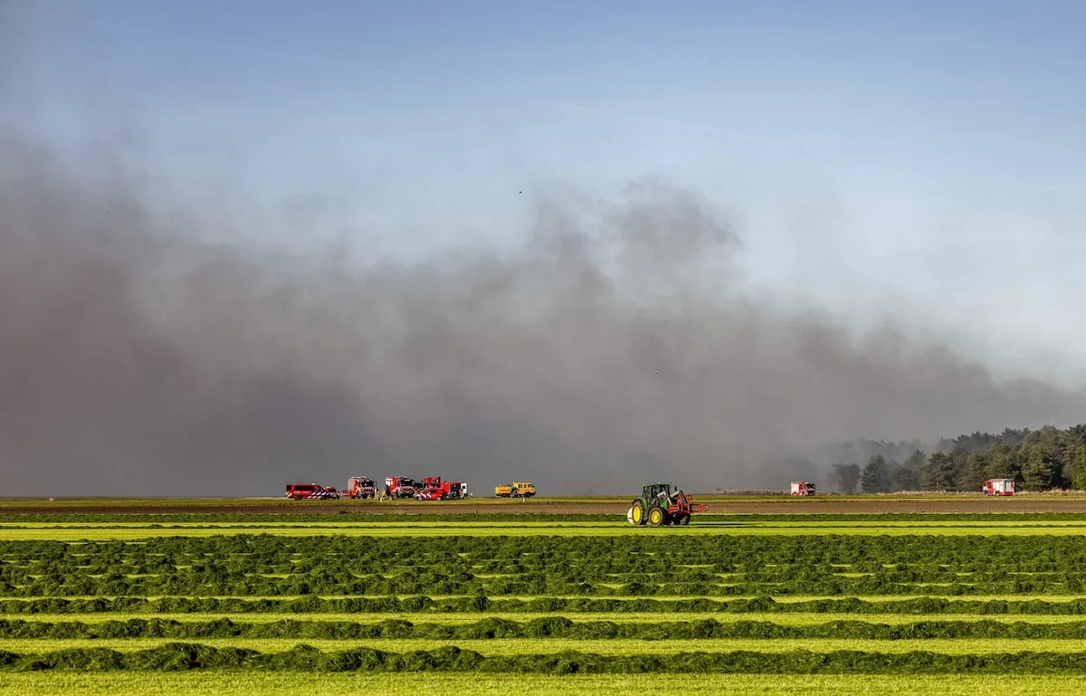 Netherlands requests help to stop a wave of wildfires, four of them in military fields