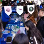 Seven careers with a good salary and an affordable entry grade