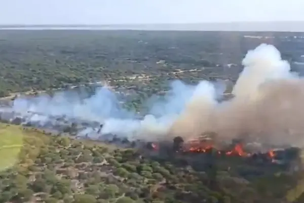A hundred forest firefighters cordon off the fire declared this Sunday in Doñana