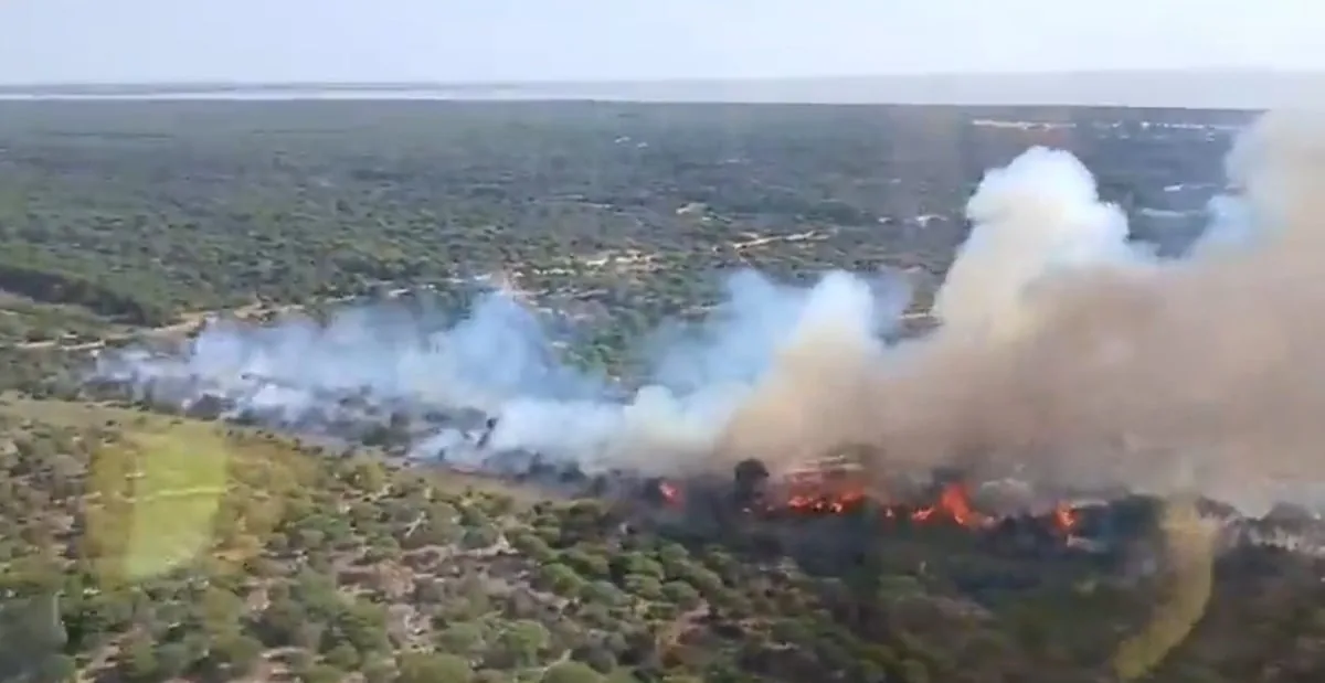 A hundred forest firefighters cordon off the fire declared this Sunday in Doñana