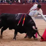 The bullfighter's heart also ages