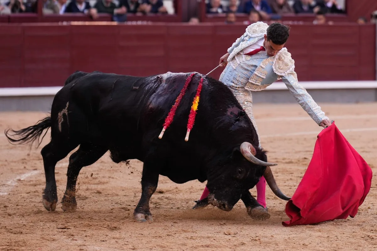 The bullfighter's heart also ages