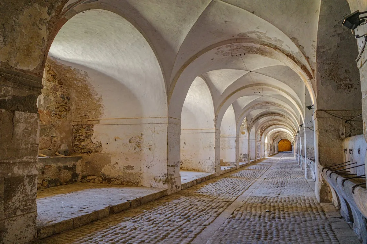 Abandonment as an inspiration for architecture