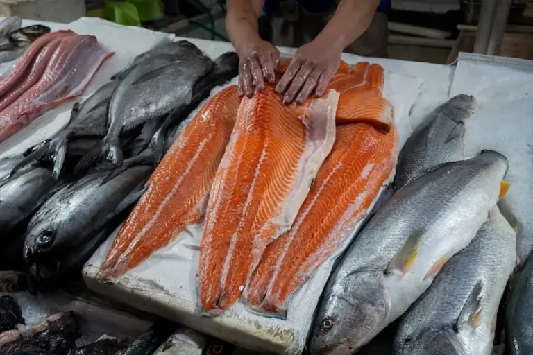 The Chilean salmon industry has a high rate of diver and worker deaths