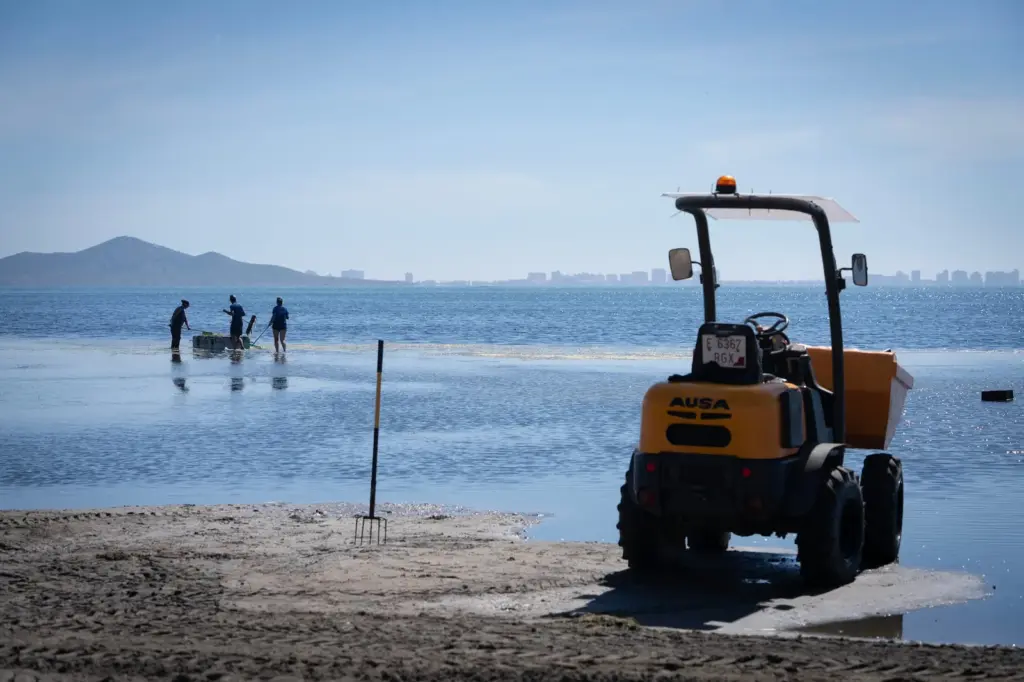 El Mar Menor 10 years after the green soup: the unique lagoon is increasingly "a tiny Mediterranean"
