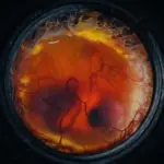 The company seeking to de-extinct the mammoth announces the birth of the first chicks hatched from an “artificial egg”