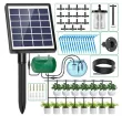 Solar irrigation system