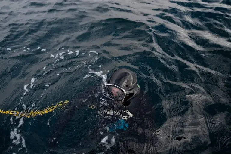 The Chilean salmon industry has a high rate of diver and worker deaths