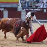 The demanding bull of Pedraza de Yeltes