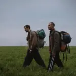 33 días