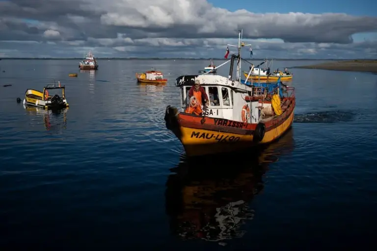 The Chilean salmon industry has a high rate of diver and worker deaths