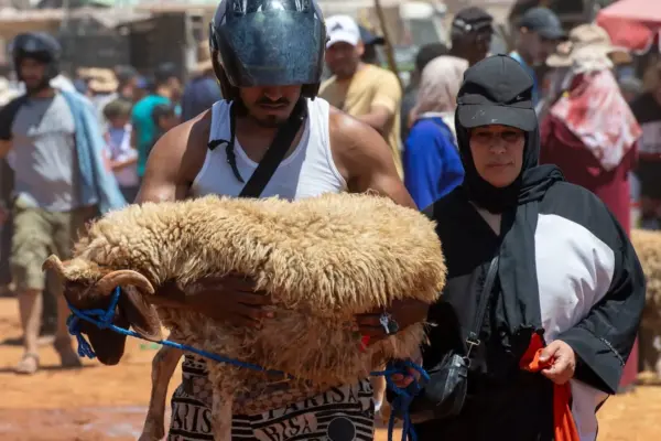 The lambs return to Morocco in a Sacrifice Festival under political tension and social crisis