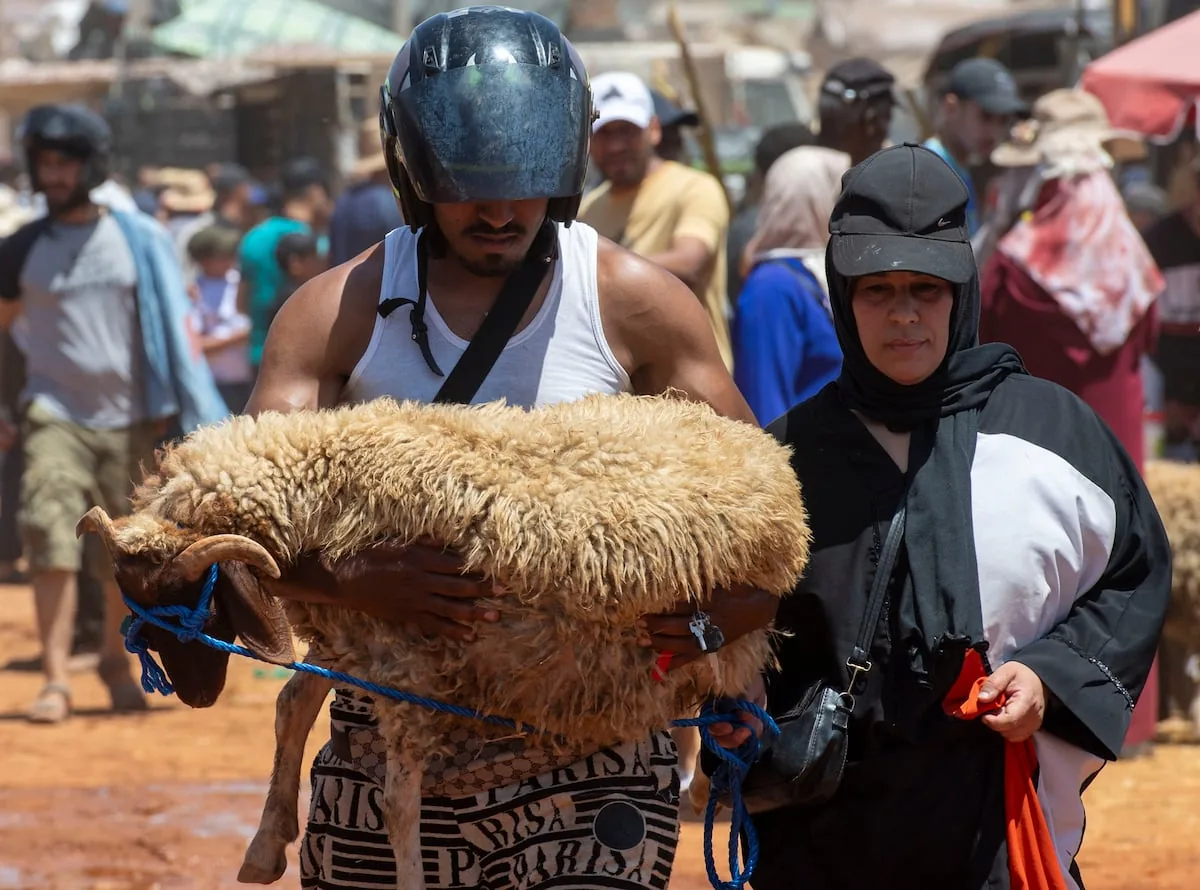 The lambs return to Morocco in a Sacrifice Festival under political tension and social crisis