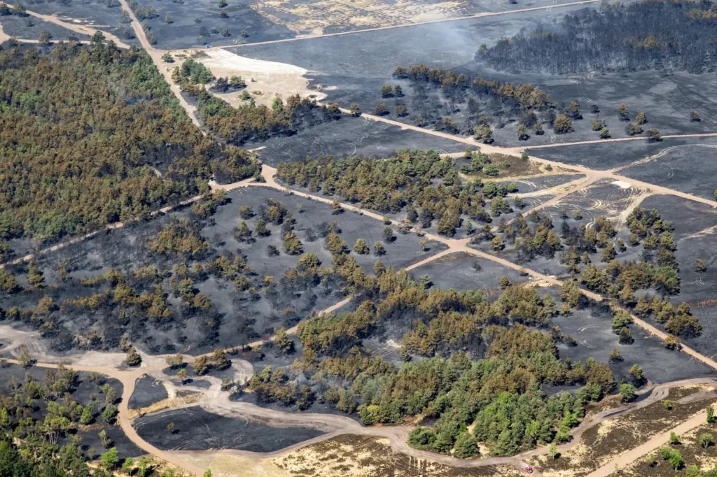 Netherlands requests help to stop a wave of wildfires, four of them in military fields