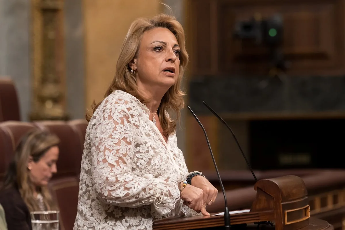 Canarian Coalition declares the legislature finished