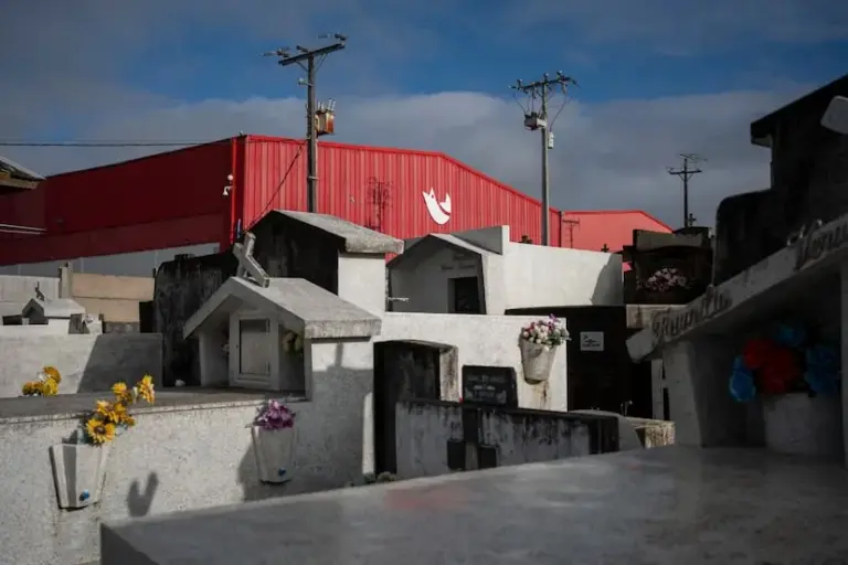 The Chilean salmon industry has a high rate of diver and worker deaths