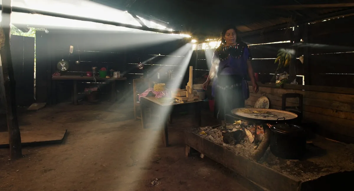 Indigenous Peoples' Cinema of Mexico: Stories Told by Their Own Voices and Aiming to Reach a Wide Audience