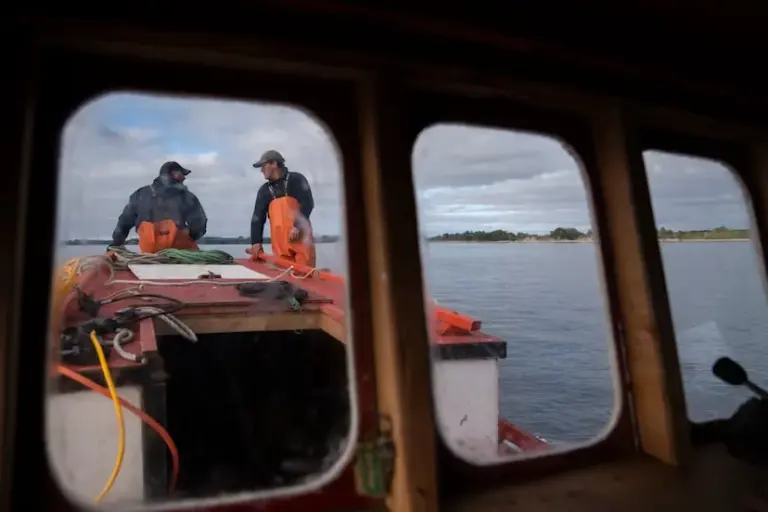 The Chilean salmon industry has a high rate of diver and worker deaths
