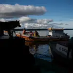 The Chilean salmon industry has a high rate of diver and worker deaths