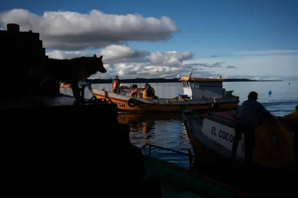 The Chilean salmon industry has a high rate of diver and worker deaths