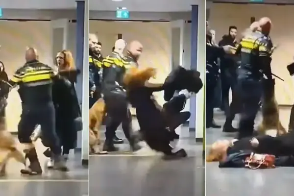 The police of the Netherlands are investigating the use of force against a pregnant woman in an asylum seekers' center