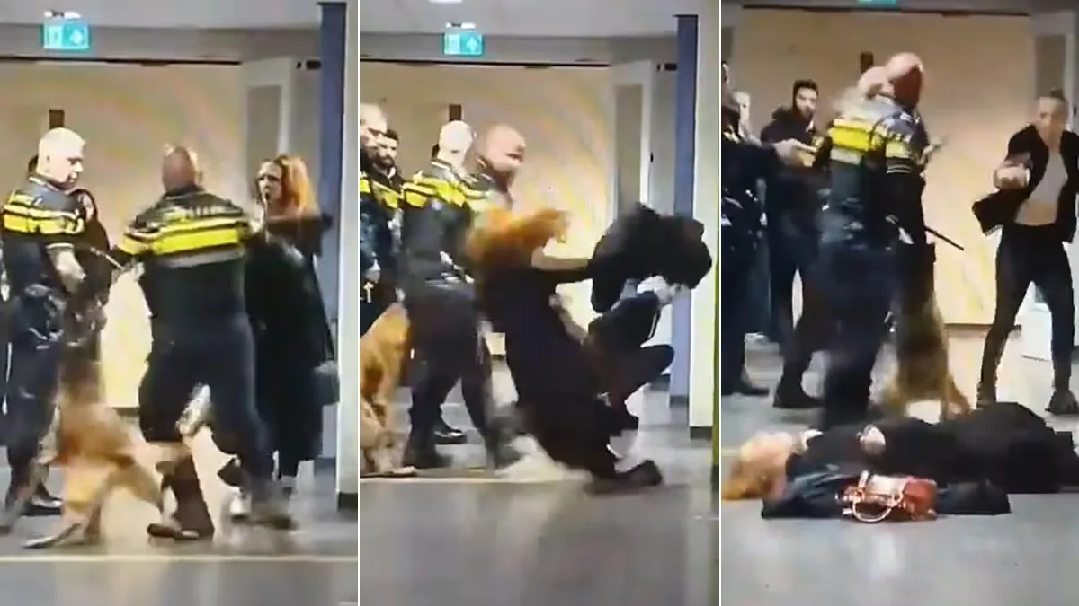 The police of the Netherlands are investigating the use of force against a pregnant woman in an asylum seekers' center