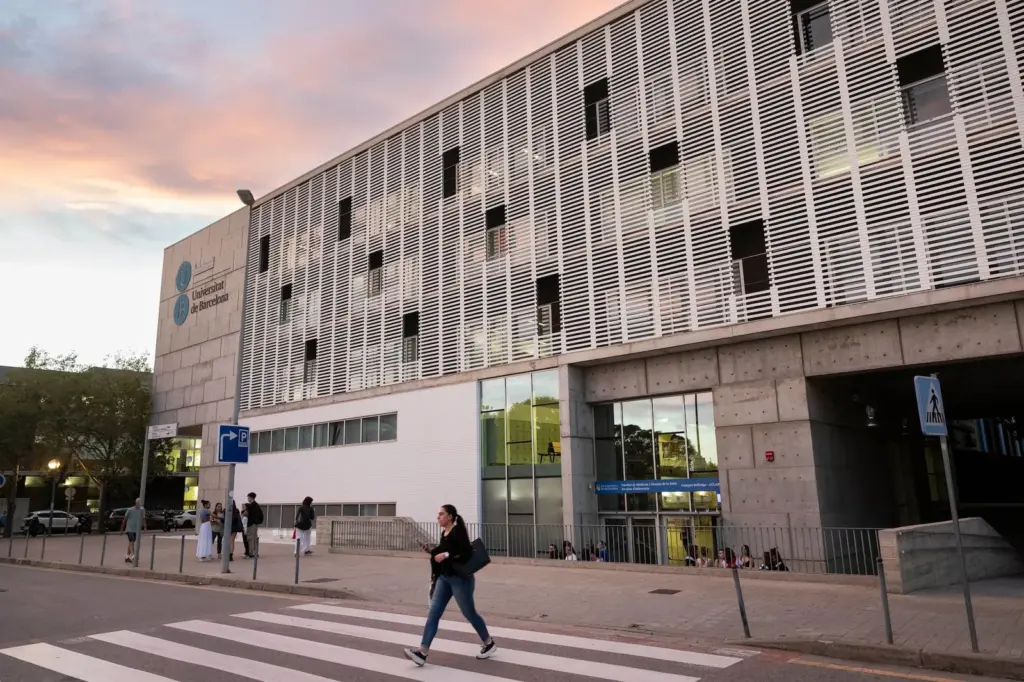 Universidad Educación