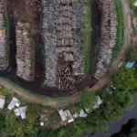 Brussels proposes removing leather from the list of products regulated by its pioneering deforestation law