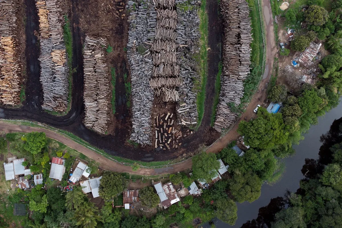Brussels proposes removing leather from the list of products regulated by its pioneering deforestation law