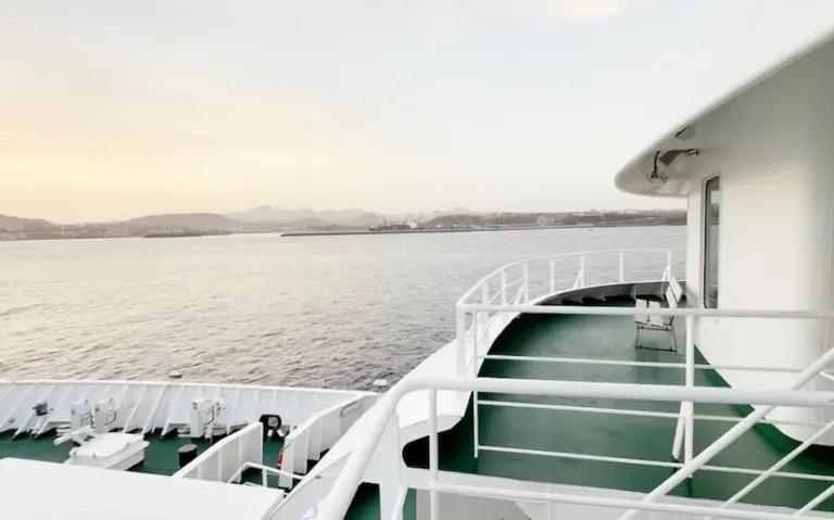 WHO and Health agree that epidemiologists will inspect the ship with the hantavirus outbreak this afternoon before deciding its fate