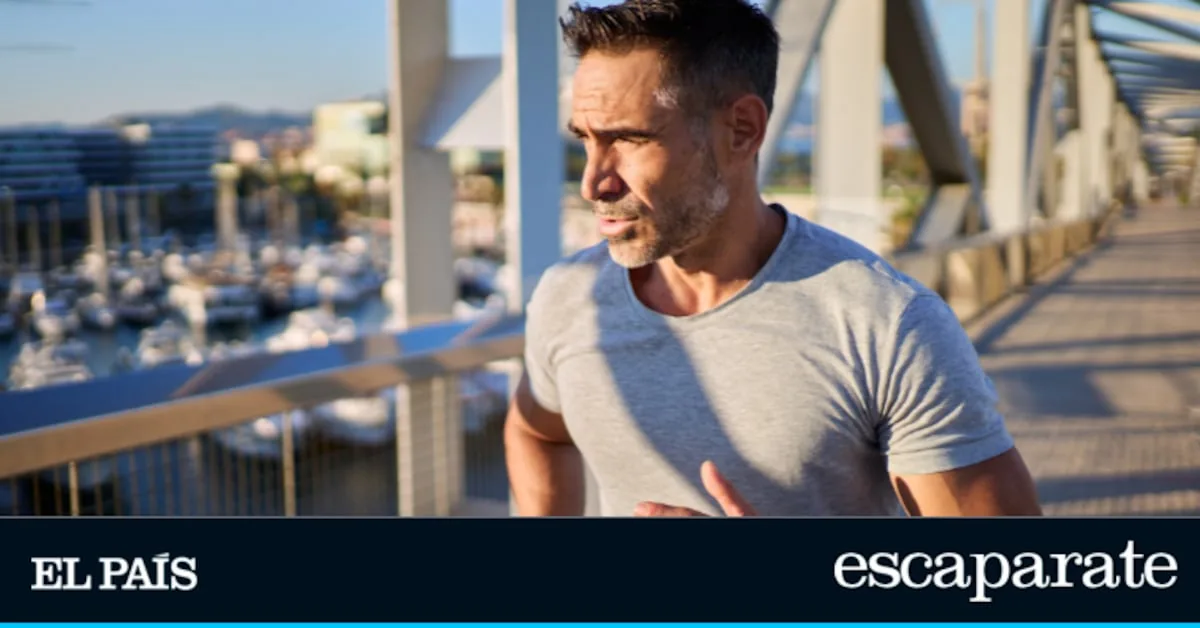 Discounts of up to 58% on men's clothing: basics, sportswear, and casual wear