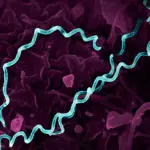 Sexually transmitted infections reach record levels across Europe