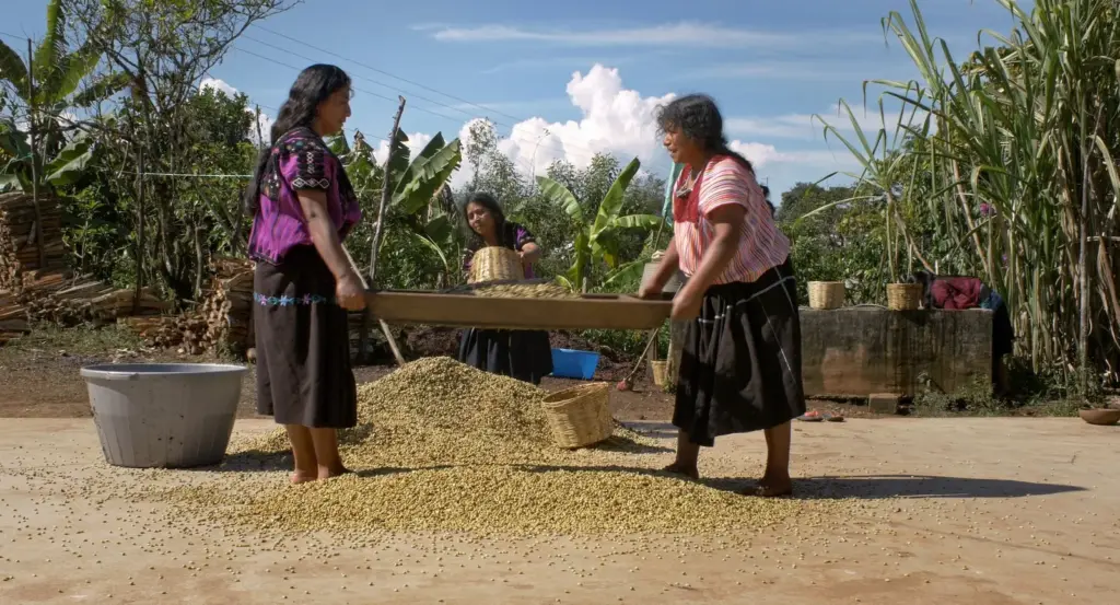 Indigenous Peoples' Cinema of Mexico: Stories Told by Their Own Voices and Aiming to Reach a Wide Audience