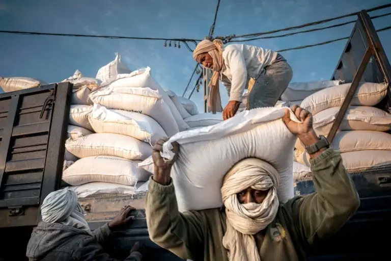 The collapse of humanitarian aid deepens the scar of the Sahrawi people: “There are families who don’t even have enough to buy a piece of chicken per week”