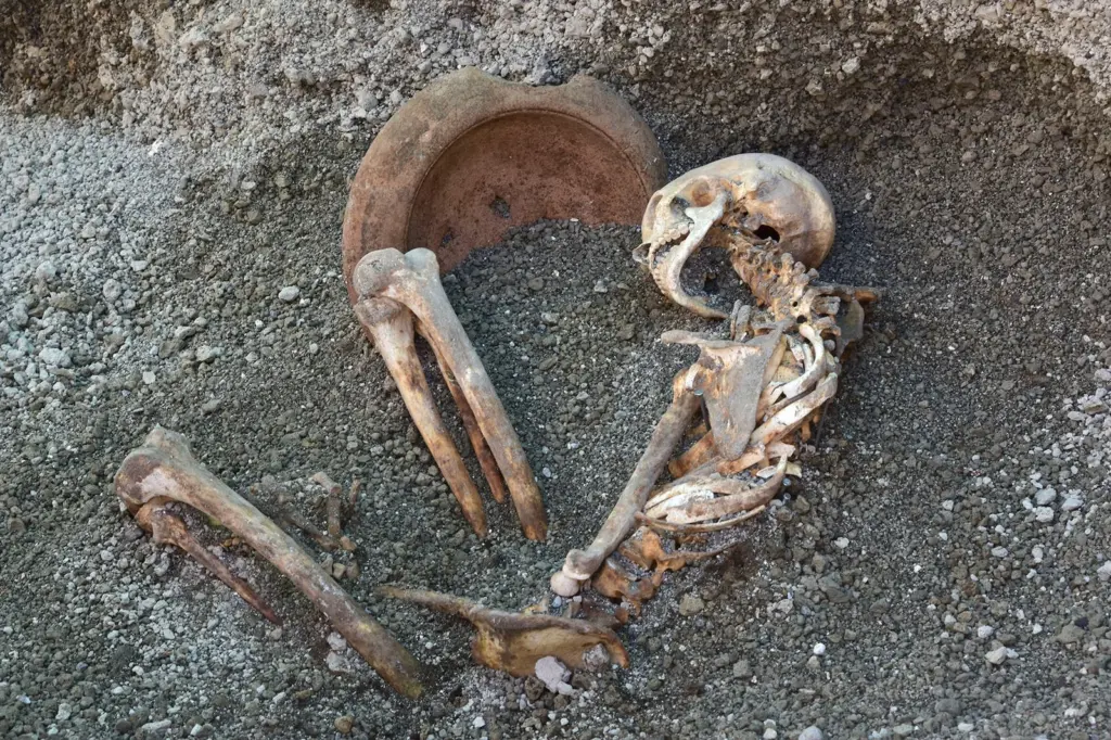 The dead tell a new story of the destruction of Pompeii