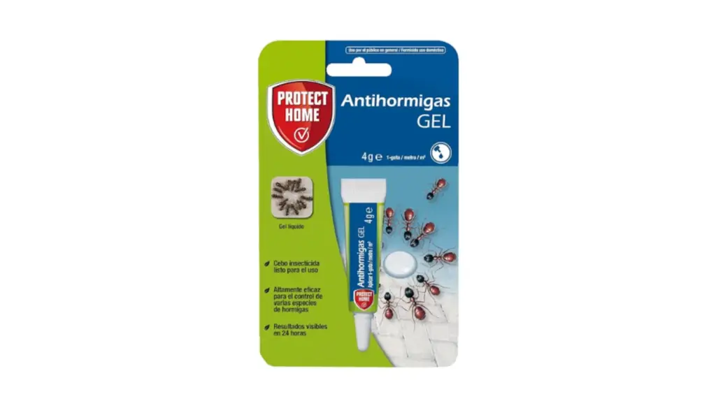 The complete guide to getting rid of ants, cockroaches, and other insects at home (and not just in summer)