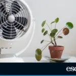 Desktop fans to work without melting: four best-selling models