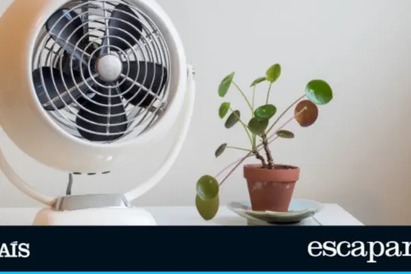 Desktop fans to work without melting: four best-selling models