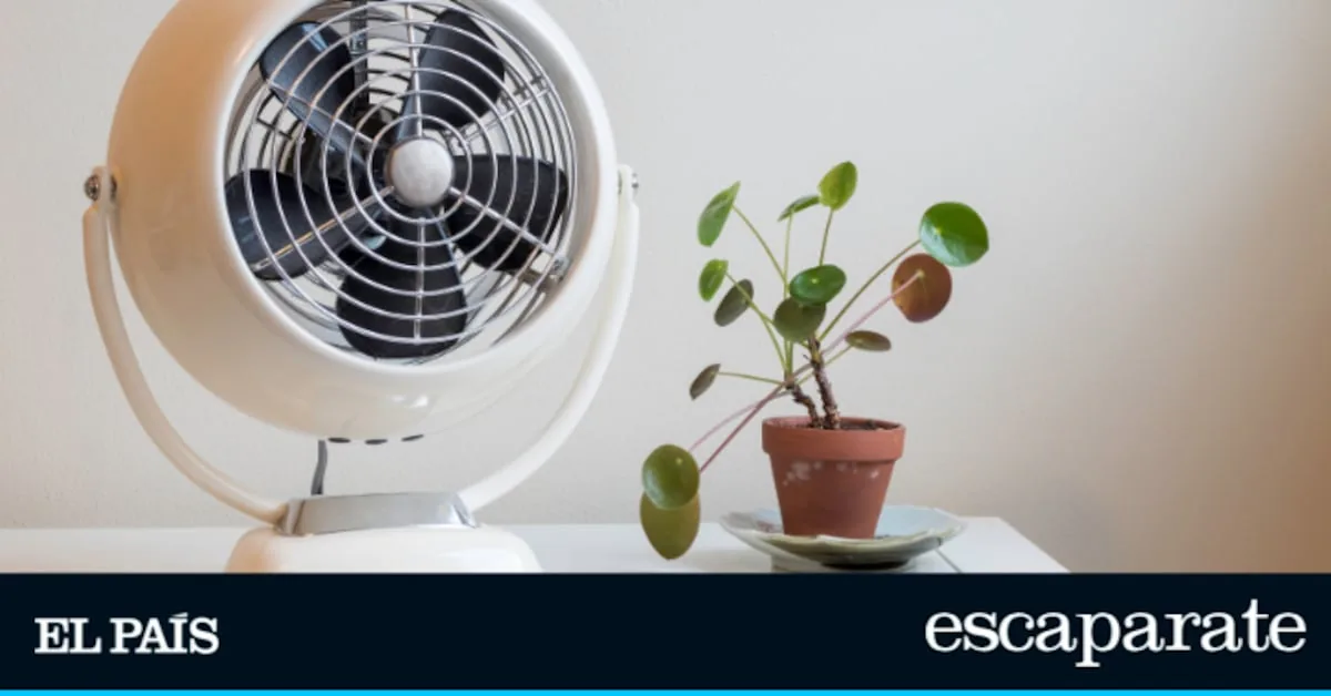 Desktop fans to work without melting: four best-selling models