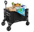 Raynesys 3-in-1 folding cart