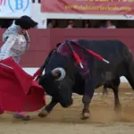 Damián Castaño and the emotion of truth before a Miura bull