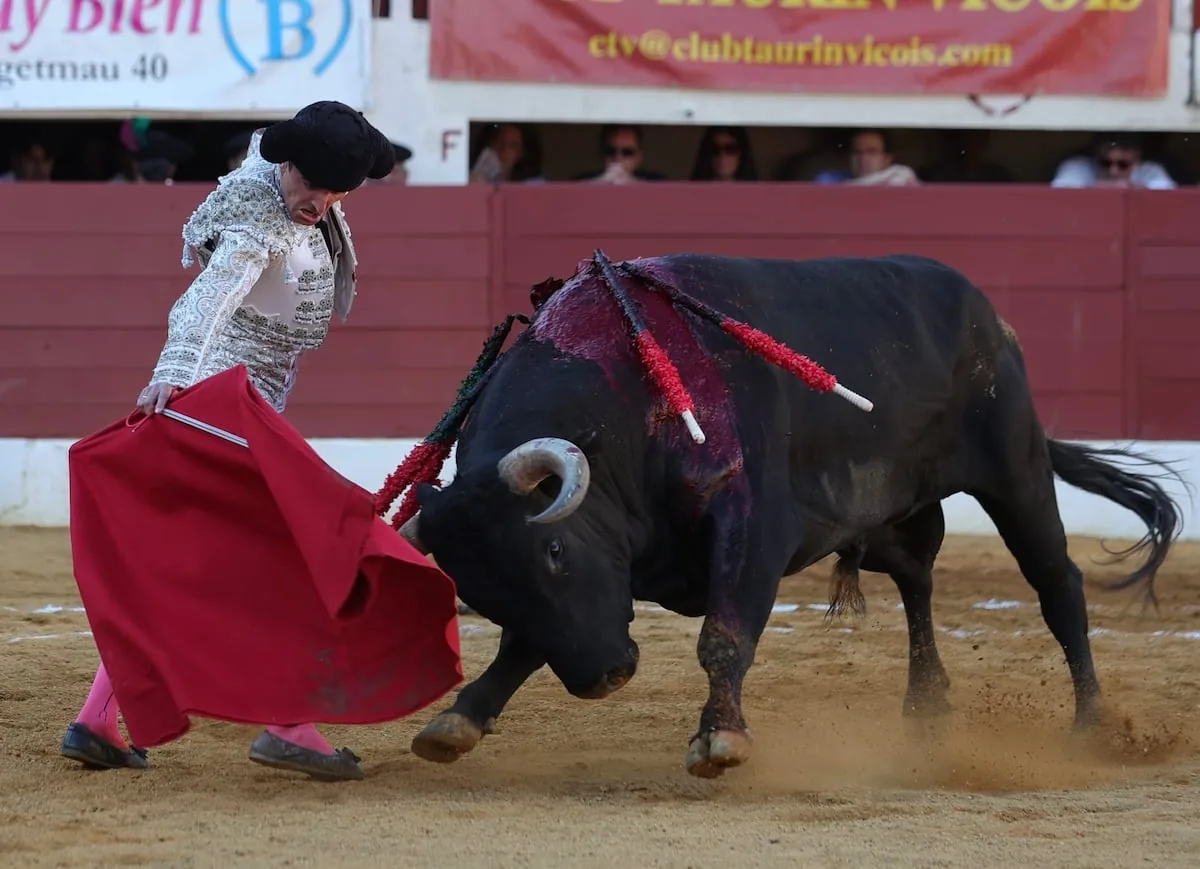 Damián Castaño and the emotion of truth before a Miura bull