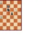 Chess analysis | Erdogmus, 14, slips against Carlsen in their first slow game