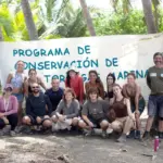 Save turtles to keep alive the legacy of an environmentalist murdered in Costa Rica
