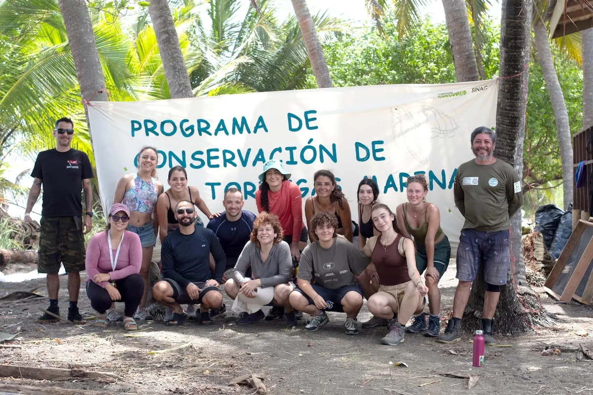 Save turtles to keep alive the legacy of an environmentalist murdered in Costa Rica