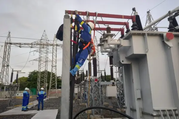 The Constitutional Court overturns taxes on power generators