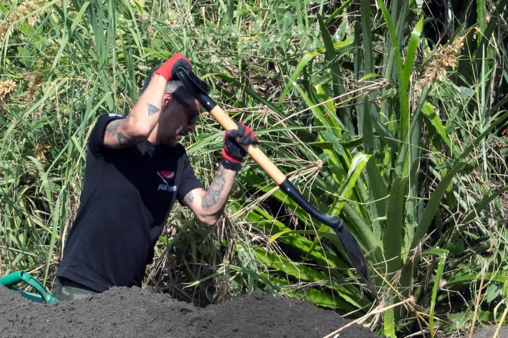 Save turtles to keep alive the legacy of an environmentalist murdered in Costa Rica